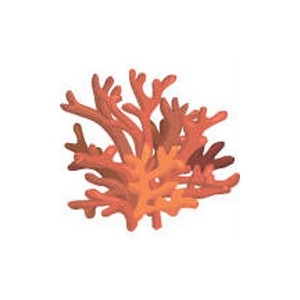 Red Coral